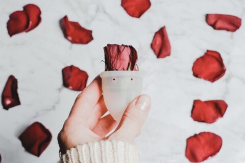 Mano sosteniendo una rosa roja con pétalos alrededor, imagen simbólica del ciclo menstrual y el autocuidado